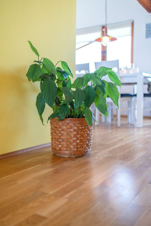 Apartman Skroza Водице Екстериор снимка